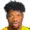 Stephen Amos