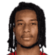 Michael Olise