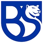 FeralpiSalo