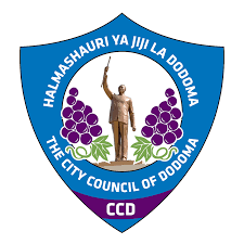Dodoma Jiji FC