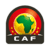 كأس الأمم الأفريقية