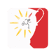 Coupe de Belgique