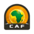 بطولة أمم أفريقيا للمحليين