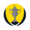 Coupe d'Écosse