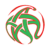 البطولة الإحترافية 1