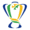 Coupe du Brésil