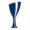Coupe du Danemark